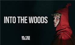 Click to view details and reviews for Into The Woods.