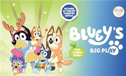 Click to view details and reviews for Blueys Big Play Liverpool.