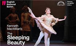 Click to view details and reviews for The Sleeping Beauty.