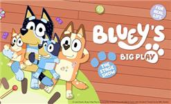 Click to view details and reviews for Blueys Big Play.