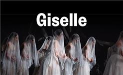 Click to view details and reviews for Giselle Royal Ballet And Opera.