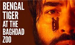 Click to view details and reviews for Bengal Tiger At The Baghdad Zoo.