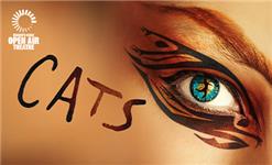 Click to view details and reviews for Cats.