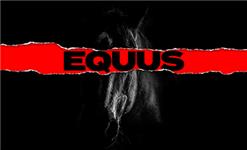 Equus