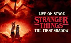 Click to view details and reviews for Stranger Things The First Shadow.