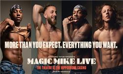 Click to view details and reviews for Magic Mike Live.