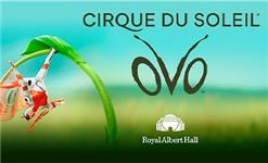 Click to view details and reviews for Cirque Du Soleil Ovo.