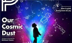 Our Cosmic Dust