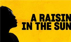 Click to view details and reviews for A Raisin In The Sun.