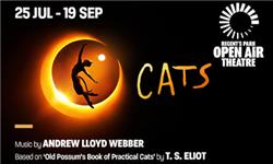 CATS - Costumes review and price