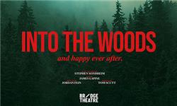 Click to view details and reviews for Into The Woods.
