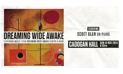 Click to view details and reviews for Scott Alan Dreaming Wide Awake In Concert.