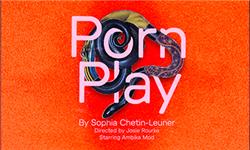 Click to view details and reviews for Porn Play.