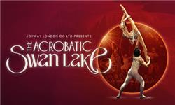 Click to view details and reviews for The Acrobatic Swan Lake.