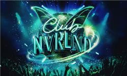 Club NVRLND - Flashing Led Foam Sticks Party review and price