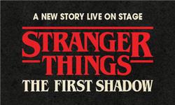 Click to view details and reviews for Stranger Things The First Shadow.