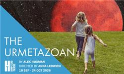 The Urmetazoan