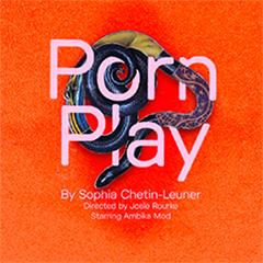 Porn Play Tickets