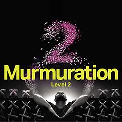 Murmuration Level 2 Tickets