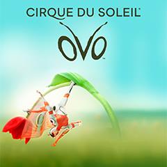 Cirque du Soleil: OVO Tickets