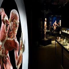 Body Worlds Tickets